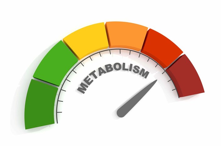 Bioglutide NA-931 Metabolic Rate Support | Shaanxi BLOOM Tech Co., Ltd Bioglutide NA-931 Metabolic Rate Support | Shaanxi BLOOM Tech Co., Ltd