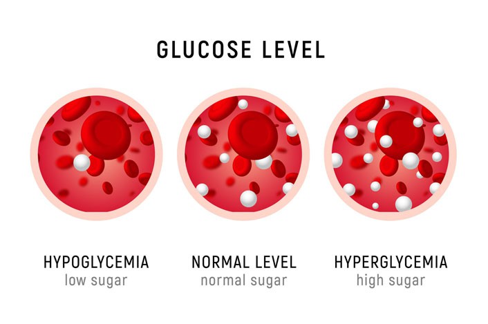 Bioglutide NA-931 Glucose Regulation | Shaanxi BLOOM Tech Co., Ltd Bioglutide NA-931 Glucose Regulation | Shaanxi BLOOM Tech Co., Ltd